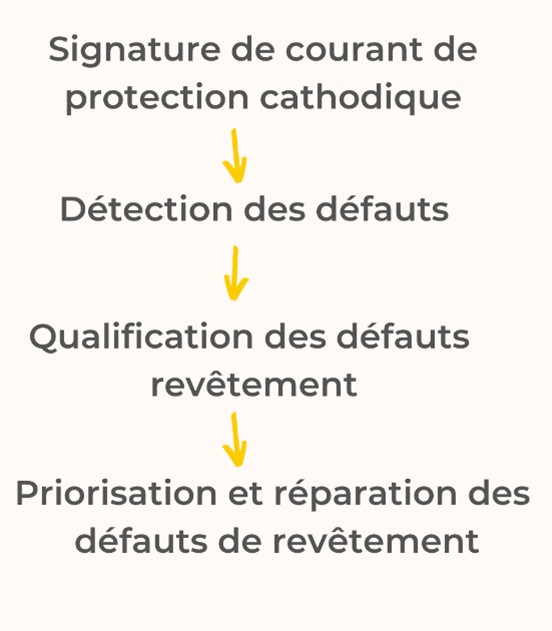 Anode Magnésium